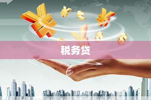 石景山税务贷
