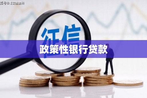 石景山政策性银行贷款