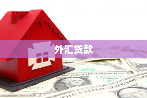 石景山外汇贷款
