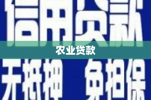 石景山农业贷款