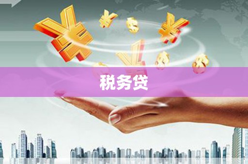 石景山税务贷