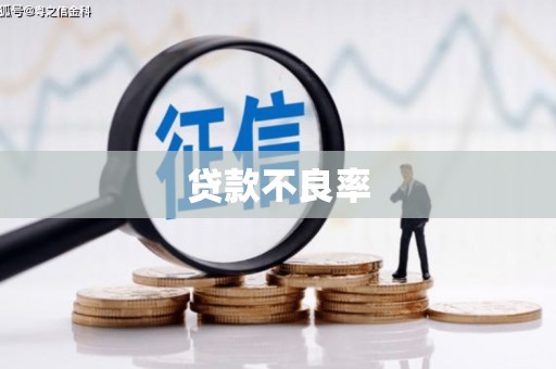 石景山贷款不良率