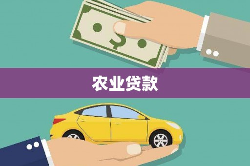 石景山农业贷款
