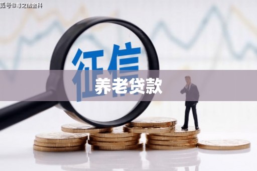 石景山养老贷款